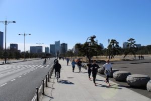 Read more about the article Runner’s Guide to the Imperial Palace