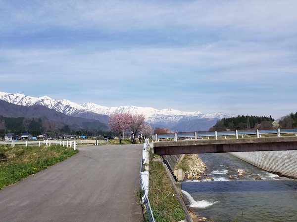 cyclist during Alps Azumino Century Ride - Sakura Group