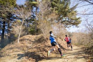 Read more about the article 2019 Tokyo Trail Run Race Series: The Races