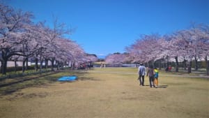 Read more about the article Four Great Park Runs in West Tokyo: Have You Been?
