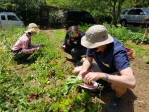 Read more about the article The Sustainable Outdoors: A Farm to Table Experience in the Miura Peninsula