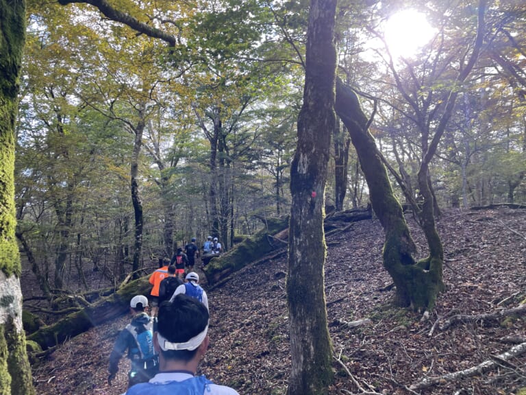 Susono Trail - Saturday (56)