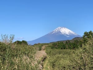 Read more about the article Explore Susono: Off Road