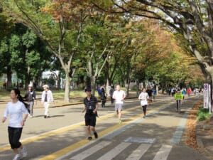 Read more about the article Runners Guide to Tokyo